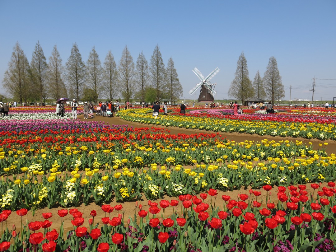 柏でおすすめのデートスポット10選 公園でゆったりお散歩デートを Ava Travel アバトラベル