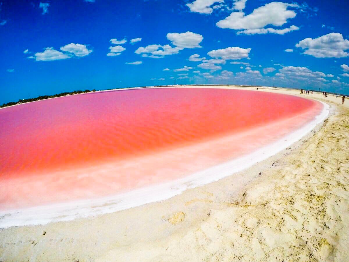 ピンクラグーンの旅行観光情報 Ava Travel アバトラベル