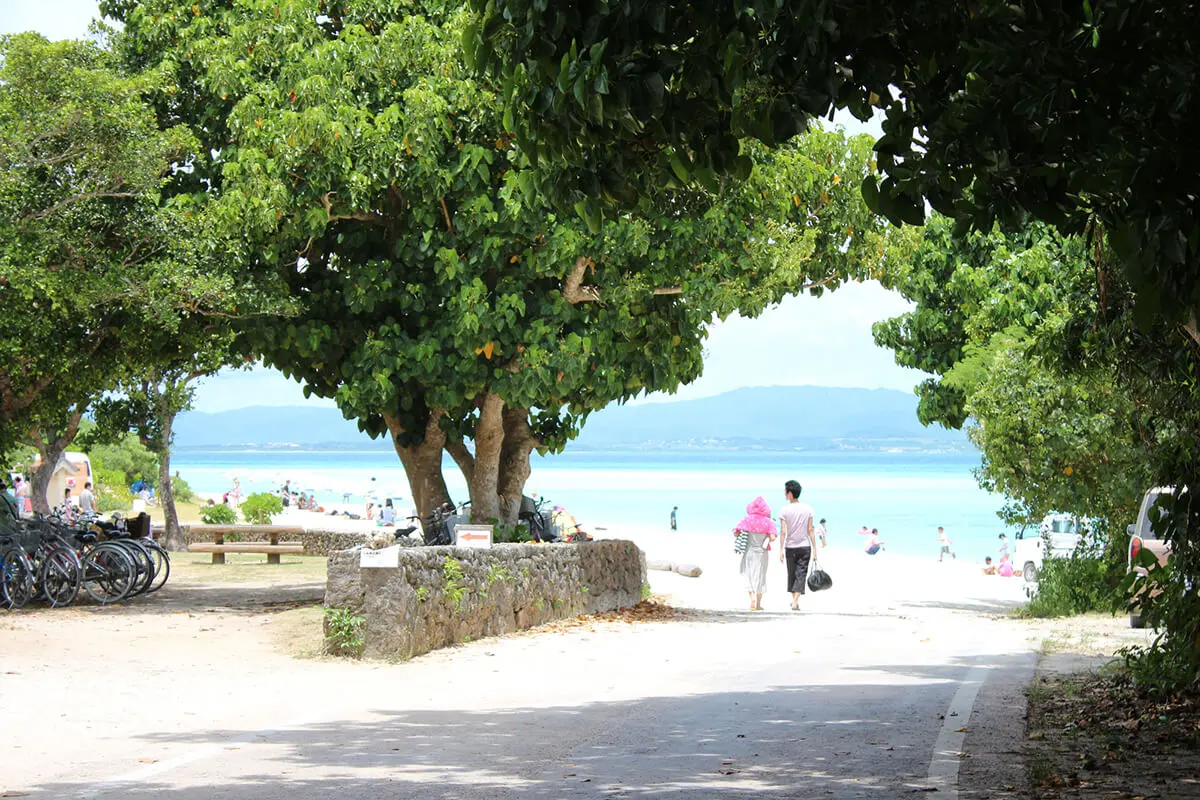 Free Parking at the Entrance of Kondoi Beach