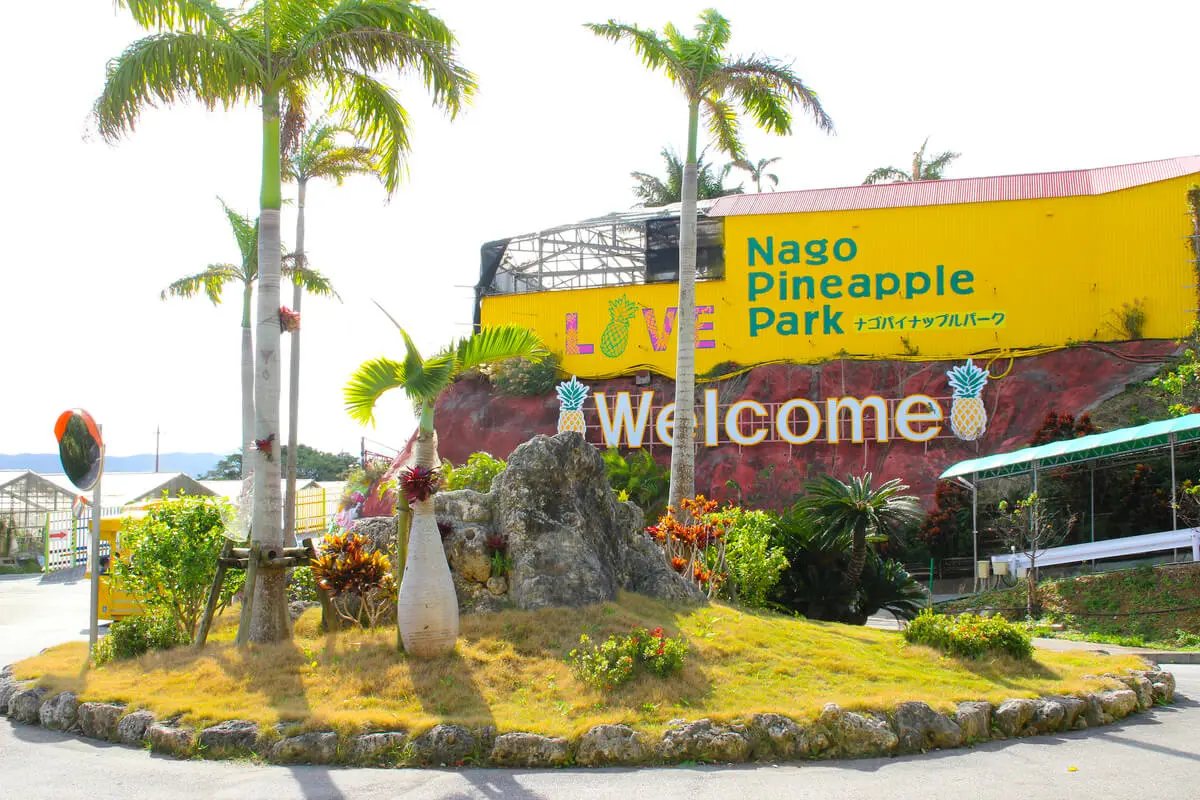 ナゴパイナップルパーク 4歳未満の子供は無料！