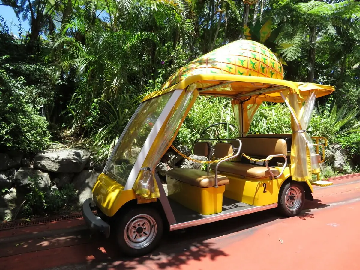 ナゴパイナップルパーク 自動運転カートでパイナップル畑を一望！